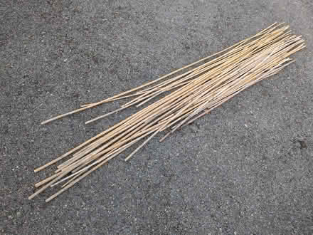 Photo of free Garden canes (Steyning BN44) #1