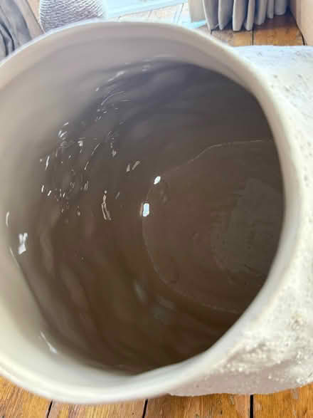 Photo of free Large docorative vase (Olympia W14) #2