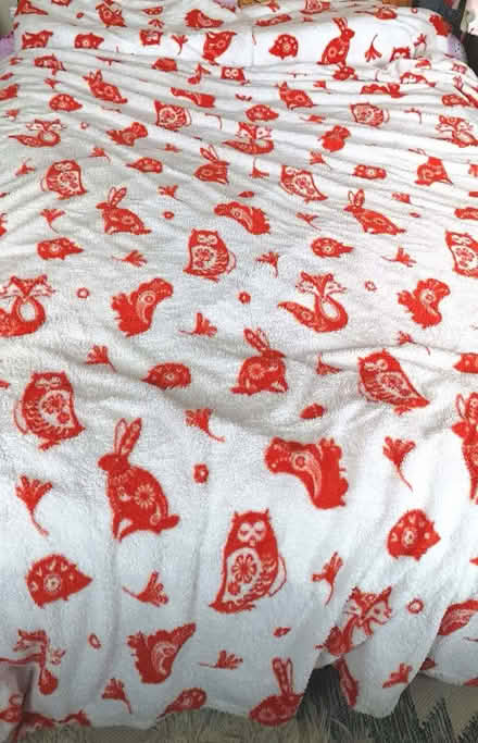 Photo of free King-size duvet cover set (East Dulwich SE22) #1