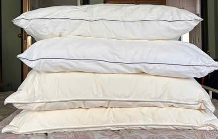 Photo of free Pillows (Emlyn Gardens W4) #1