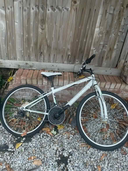 Photo of free Adult bicycle (Erdington B23) #1
