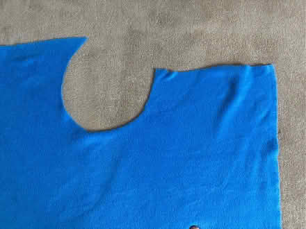 Photo of free Large piece of blue fur fabric (Great Boughton CH3) #3