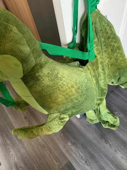 Photo of free Dinosaur suit (Coventry CV6) #2