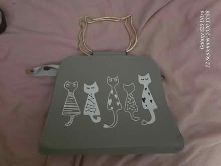 Photo of free Grey Cat Handbag (spondon DE21) #1