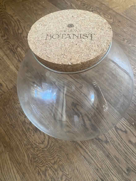 Photo of free Urban Botanist terrarium (Southfields SW18) #1