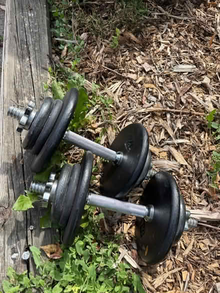 Photo of free Free weights/barbells (Midtown Toronto) #1