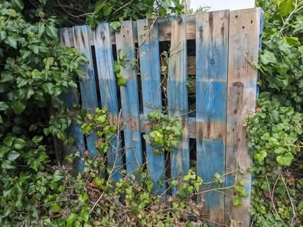 Photo of free Pallets - painted blue (Cassington OX29) #1