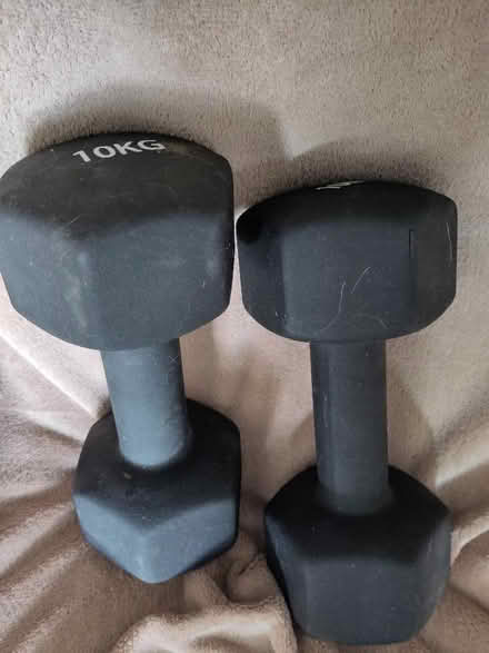 Photo of free Two 10kg weights (Weston Rhyn SY10) #1
