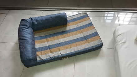 Photo of free Pet Lounger (Queenstown, near MRT) #1