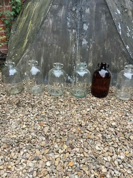 Photo of free Demijohns x 6 (Marden SN10) #1