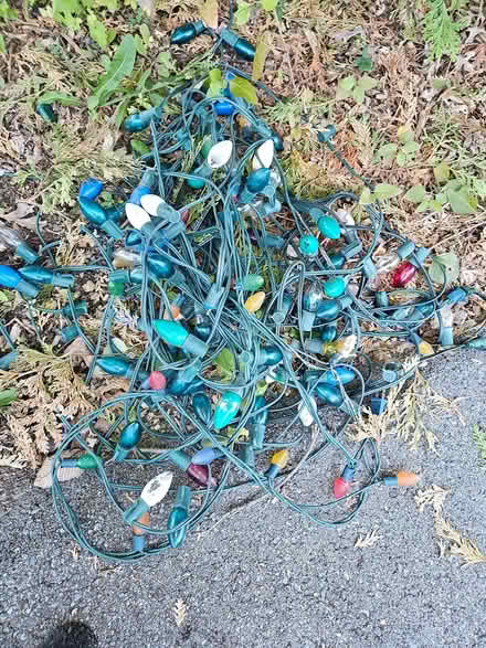 Photo of free Holiday Lights - mostly "vintage" (Near the experimental farm) #1