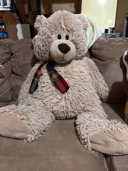 Photo of free Large teddy bear (Groton MA) #1