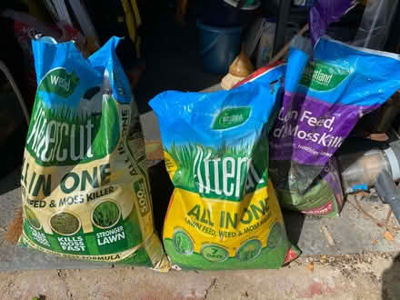 Photo of free Lawn Feed, Weed and Moss Kill (King's College Playing Fields HA4) #2