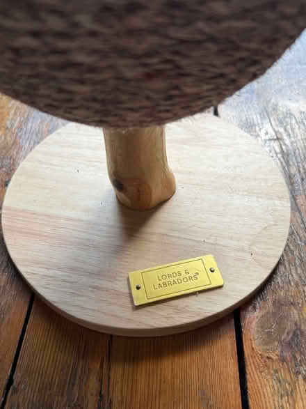Photo of free Cat scratcher (Olympia W14) #2