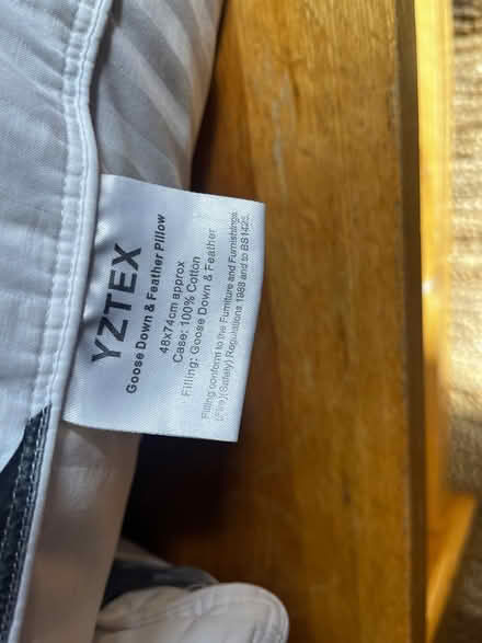 Photo of free 2x Feather pillows - 100% cotton (Littlemore OX4 4) #3