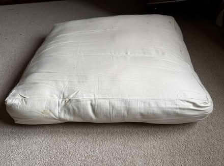 Photo of free Old cushions (West Bergholt CO6) #1