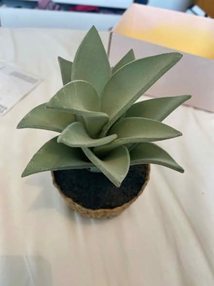 Photo of free Fake potted plant (Macclesfield SK10) #1