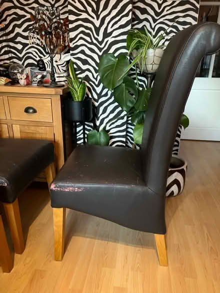 Photo of free Dining chairs (Houghton Regis LU5) #3