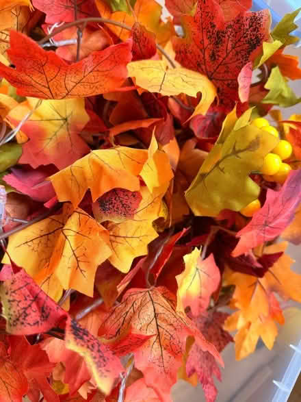 Photo of free Autumn leaf decorations (Highbury N5) #2