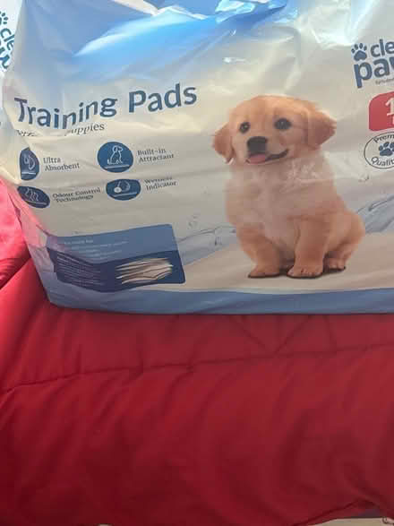 Photo of free Pup training pads (BR6) #1