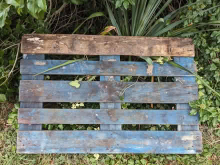 Photo of free Pallets - painted blue (Cassington OX29) #2