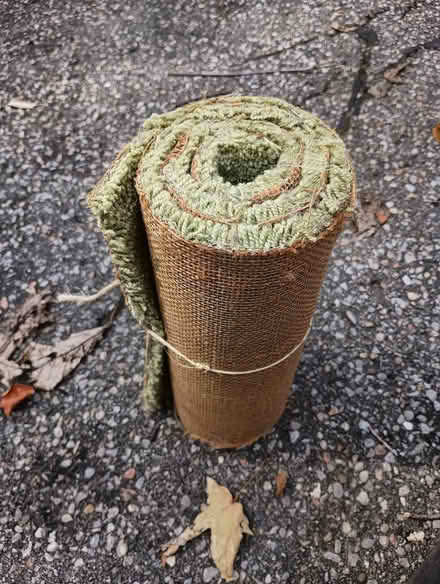 Photo of free scrap of mint green carpet (Yonge/Sheppard) #2