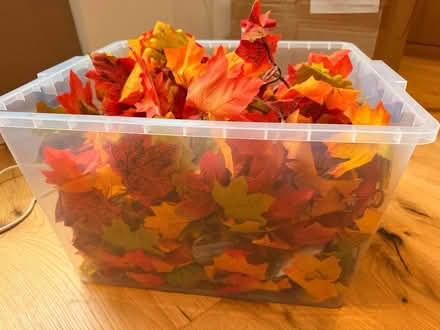 Photo of free Autumn leaf decorations (Highbury N5) #3
