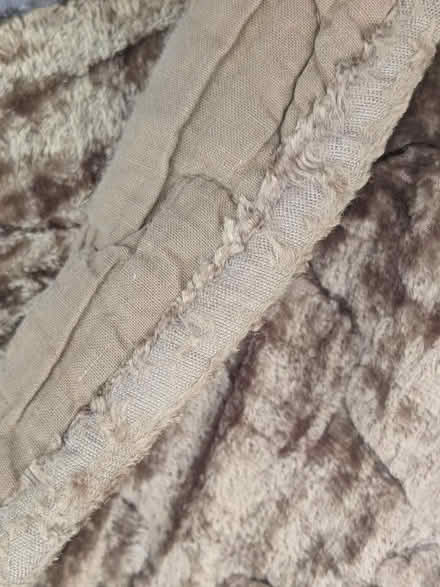 Photo of free Large & Very Worn Velvet Bedspread (Dover CT15) #4