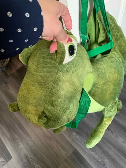 Photo of free Dinosaur suit (Coventry CV6) #1