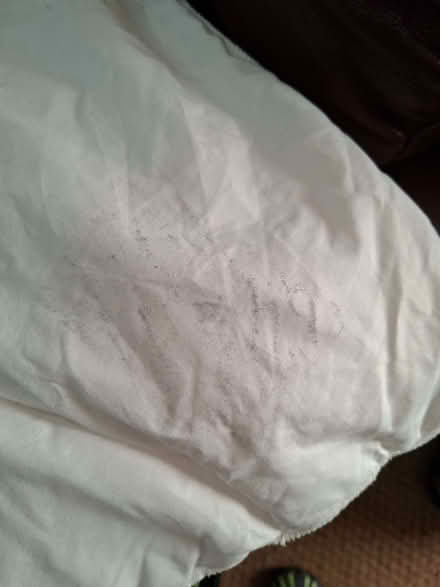 Photo of free Lightweight King Sized Duvet (Ulverley Green B92) #2