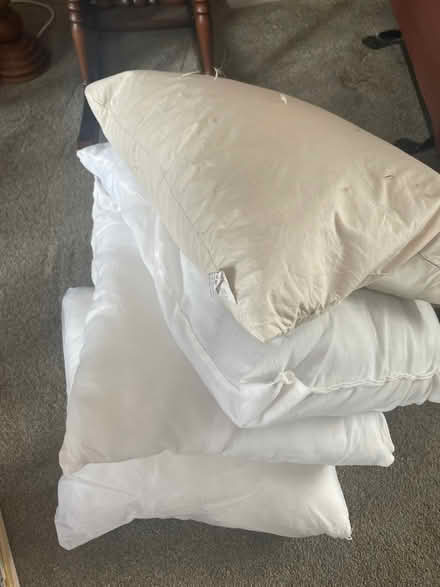 Photo of free Cushion inserts (Chirk LL14) #1