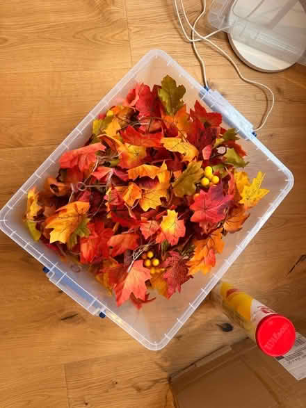 Photo of free Autumn leaf decorations (Highbury N5) #1