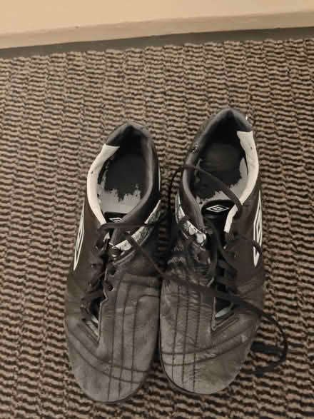 Photo of free AstroTurf trainers (Stockwell SW9) #1