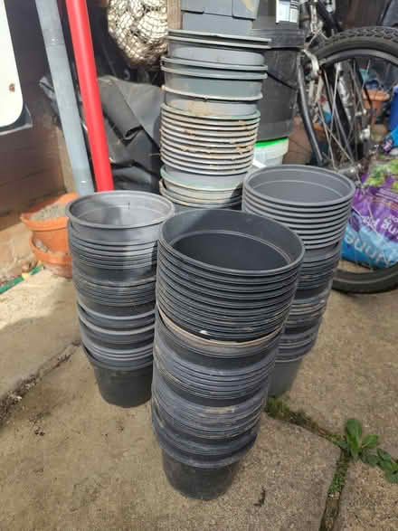 Photo of free 2L plant pots (South Hitchin, SG4 9) #1