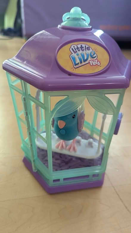 Photo of free Pet bird toy (electronic) (North Cambridge) #1