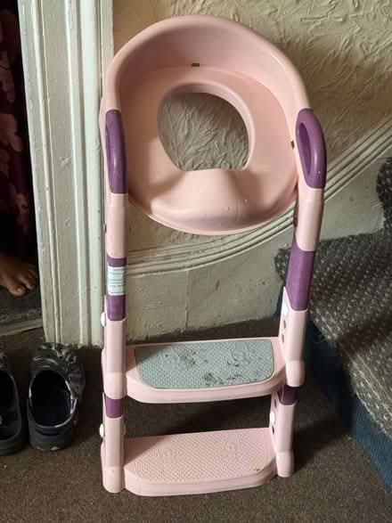 Photo of free Potty training seat (Aldborough road south) #2