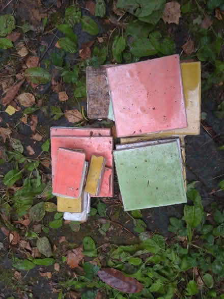 Photo of free coloured tiles (Presteigne LD8) #1