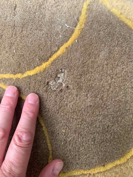 Photo of free Rug in poor condition (Bartley Green B32) #3