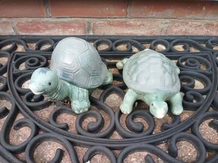 Photo of free Garden Ornaments - Turtles (Sale M33) #1