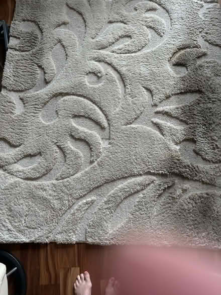 Photo of free White Shag/Pattern Area Rug (Pearl District) #1