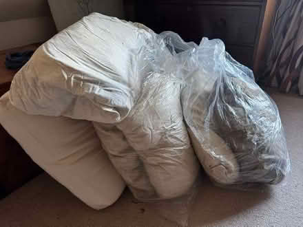 Photo of free Old cushions (West Bergholt CO6) #3
