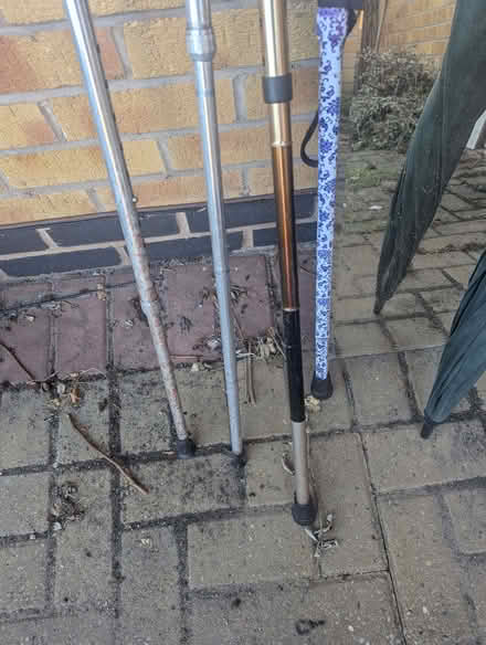 Photo of free 4 X walking sticks (Bingham NG13) #3
