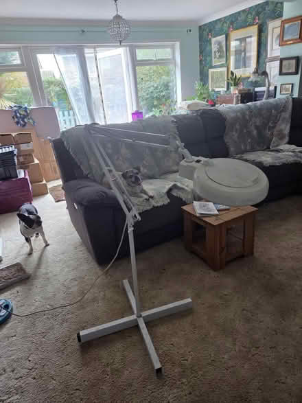 Photo of free Tall craft lamp (Bexhill-On-Sea TN40) #2