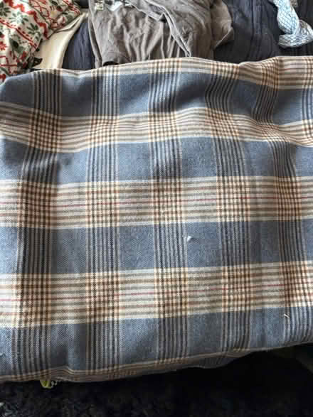 Photo of free Curtain (gobowen SY11) #3