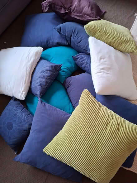 Photo of free Assorted cushions, 15 total (Muswell Hill N10) #1