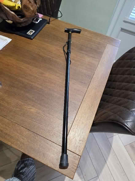 Photo of free Holdings walking stick (Coldean BN1) #1