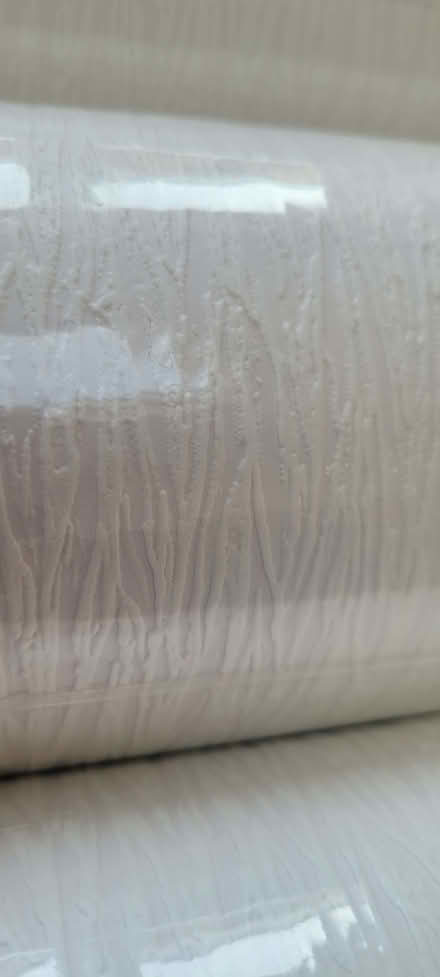 Photo of free 4 rolls expanded vinyl wallpaper (Scale Hall LA1) #1