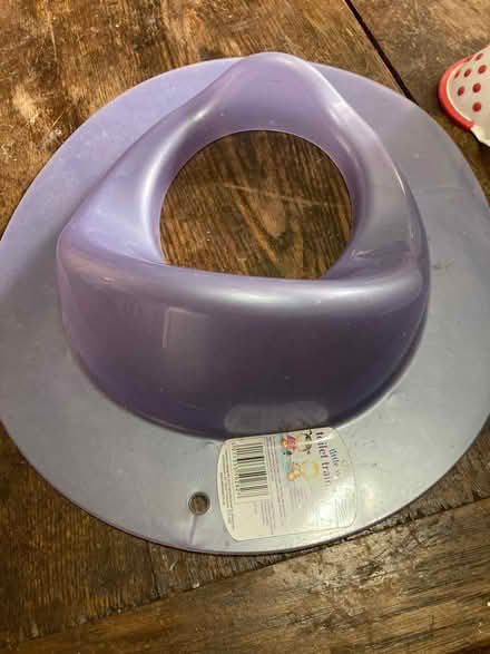 Photo of free Potty and trainer seat (Wales S26) #1