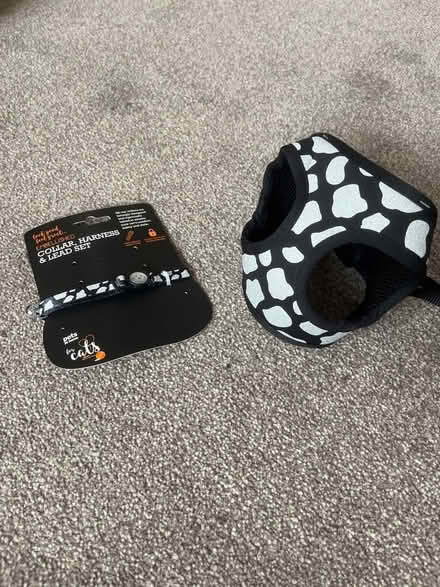 Photo of free Cat harness (Kennington OX1) #1