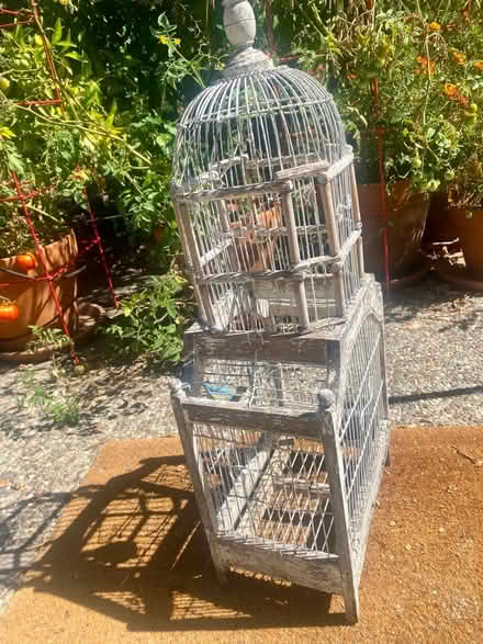 Photo of free Birdcage decoration for yard (Near Greer park, Palo alto) #1